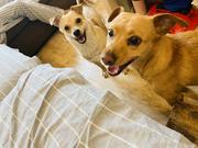 Frank313的个人资料头像