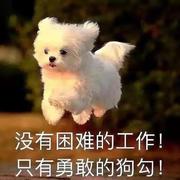 雯茜的个人资料头像