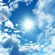 Sunshine19657头像