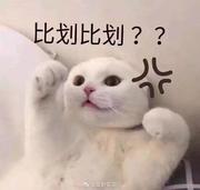 南栀倾寒彡的个人资料头像