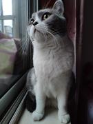 Leekai的个人资料头像