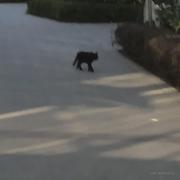 只吃小碗饭的个人资料头像