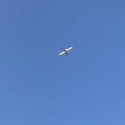 真情见我的个人资料头像