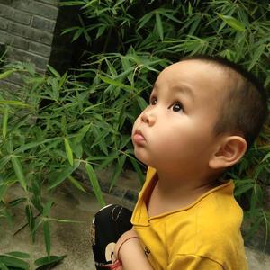 南京巢威汽车老王头像