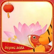 妮妮13524的个人资料头像