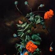 MySuperGit的个人资料头像