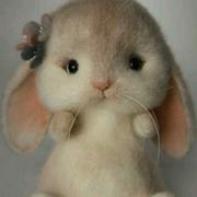 杨柳依依332的个人资料头像