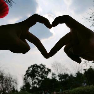 大锤哥聊装修头像