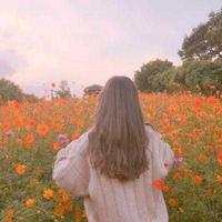 小丸子15595头像