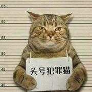 用户6166182864005的个人资料头像