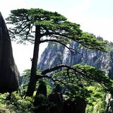 A好太太智能家-聂友法头像