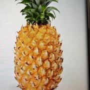 实用工具分享的个人资料头像