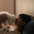 沉入温柔头像
