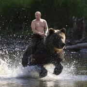 undefined的个人资料头像