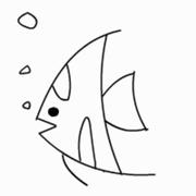 wzso的个人资料头像