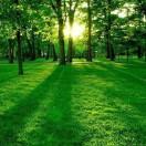 Maxwell君60707的个人资料头像