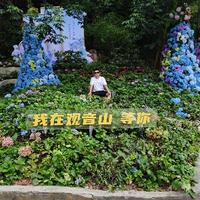 寒风若曦666头像