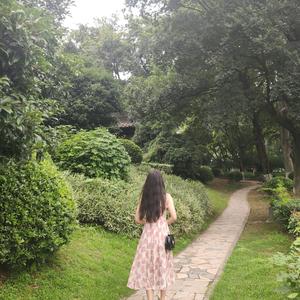 旅行家亚历克斯5x头像