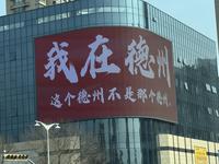 德州佰驰达精品二手车头像