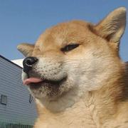 rainy的个人资料头像