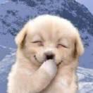 cyh同志78834的个人资料头像