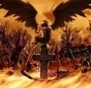 Anphy的个人资料头像