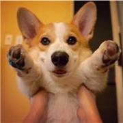 Manfray的个人资料头像