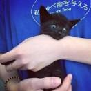 余味的个人资料头像