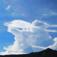 画清源头像