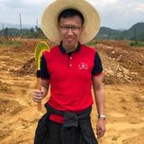 取经路上的悟空头像