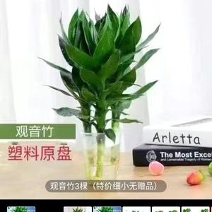 美华单亲宝妈！头像