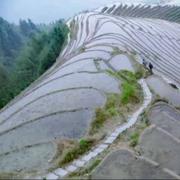 雨林霖282的个人资料头像