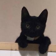 Yu141的个人资料头像