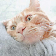 marsK78045的个人资料头像