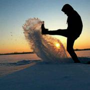 An806的个人资料头像