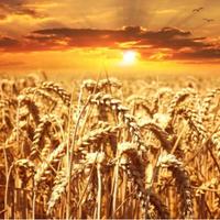 用户760841413352头像