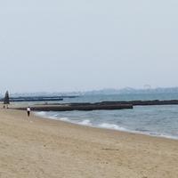 不是无人驾驶头像