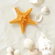 cfy901的个人资料头像