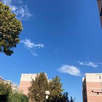 高贵暖阳fd头像