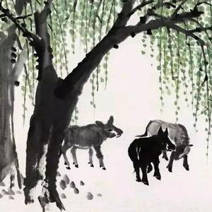 慧兴头像