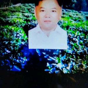地球人聊AI头像
