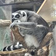 shaneyang的个人资料头像