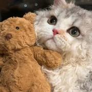 墨竹722的个人资料头像