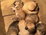 Lawliet_L的个人资料头像