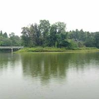 知足常乐36508头像