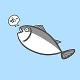 咸鱼一夜干的个人资料头像