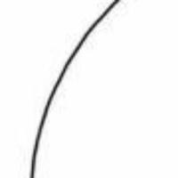 骗子被骗子骗了头像