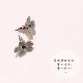 MissFish-Emma头像
