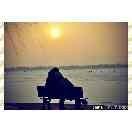 海豚687的个人资料头像