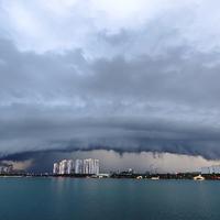 东江湖阿涛头像